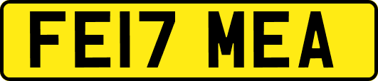 FE17MEA