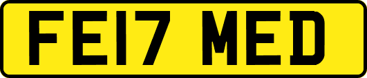 FE17MED