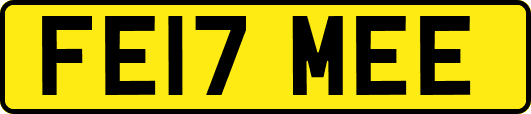 FE17MEE