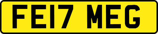FE17MEG