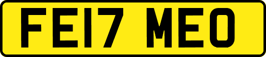 FE17MEO