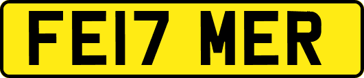 FE17MER