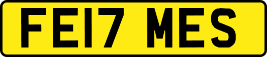 FE17MES