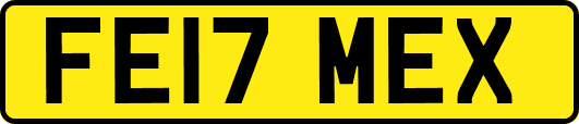 FE17MEX