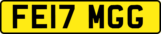 FE17MGG