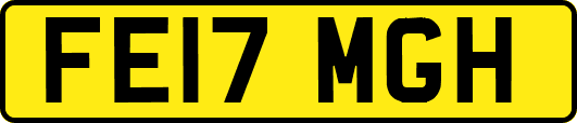 FE17MGH