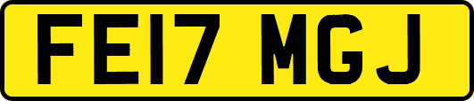 FE17MGJ