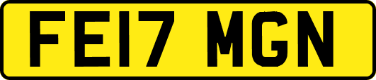 FE17MGN
