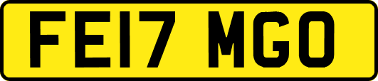 FE17MGO