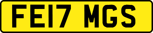 FE17MGS