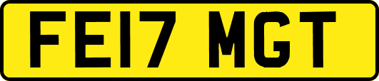 FE17MGT