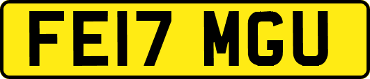 FE17MGU