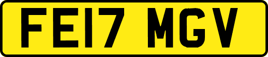 FE17MGV