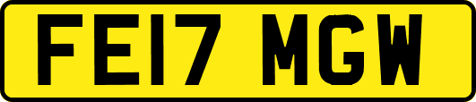 FE17MGW