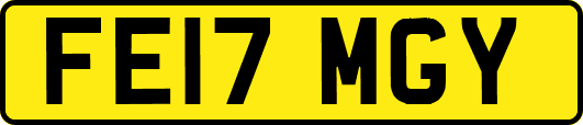 FE17MGY