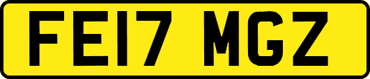 FE17MGZ