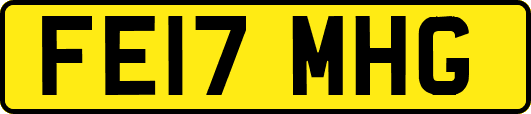 FE17MHG