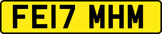 FE17MHM