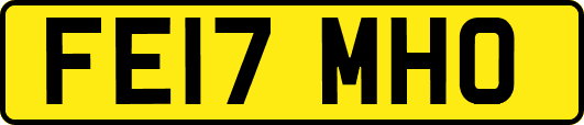 FE17MHO
