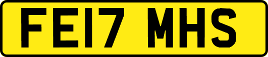 FE17MHS