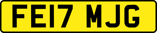 FE17MJG