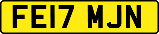 FE17MJN