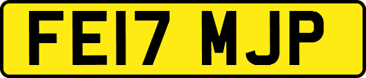 FE17MJP