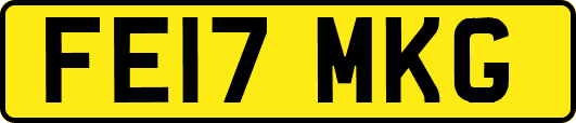 FE17MKG