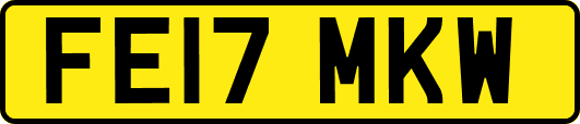 FE17MKW