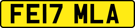 FE17MLA