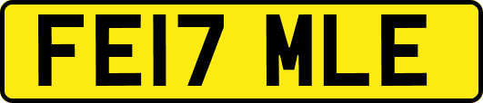FE17MLE