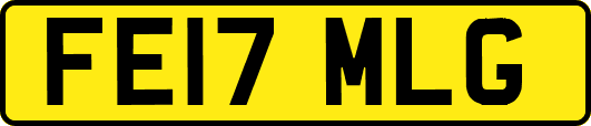 FE17MLG