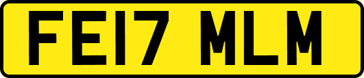 FE17MLM