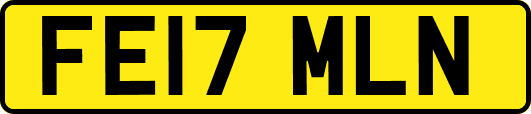 FE17MLN