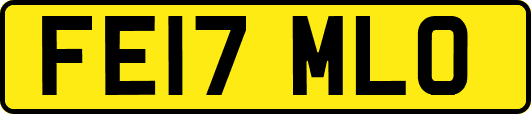 FE17MLO