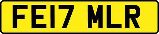 FE17MLR