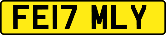 FE17MLY