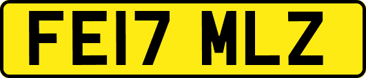FE17MLZ
