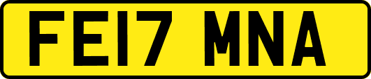FE17MNA