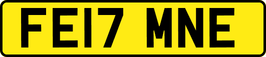FE17MNE