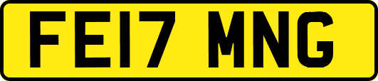 FE17MNG