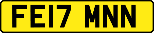 FE17MNN