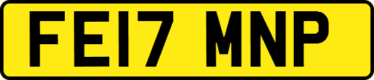 FE17MNP