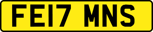 FE17MNS