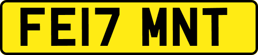 FE17MNT