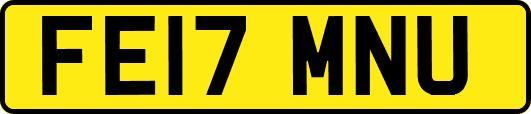 FE17MNU