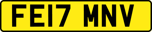 FE17MNV