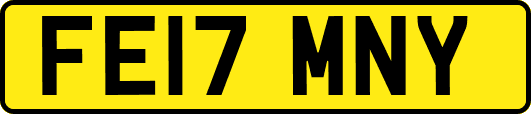 FE17MNY