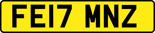FE17MNZ