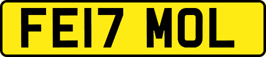 FE17MOL